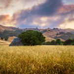 Spirit Rock at Sunrise Nicasio California